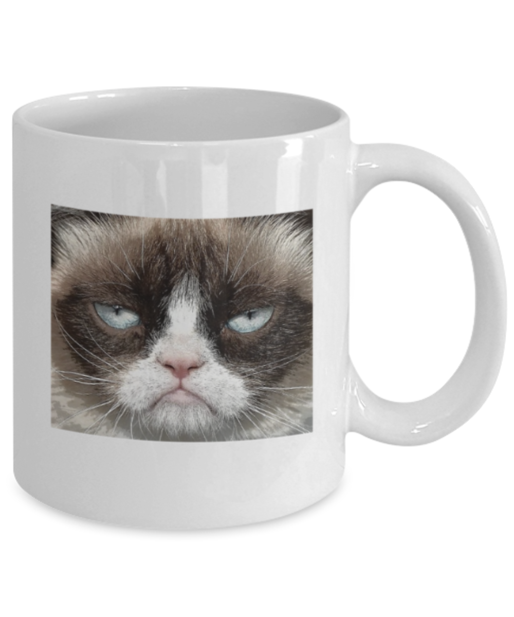 Gift gor cat lovers , Who you callin a pussy - White Coffee Mug Porcelain Tea Cup 11 oz - Great Gift