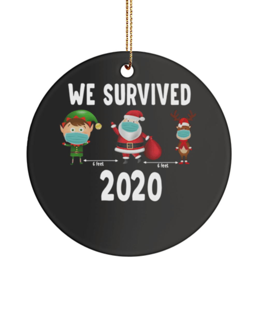 We Survived 2020 Ornament, Merry Christmas Ornament, Quarantined Christmas Ornament, Christmas Decor, Christmas Gifts, Christmas Ornament