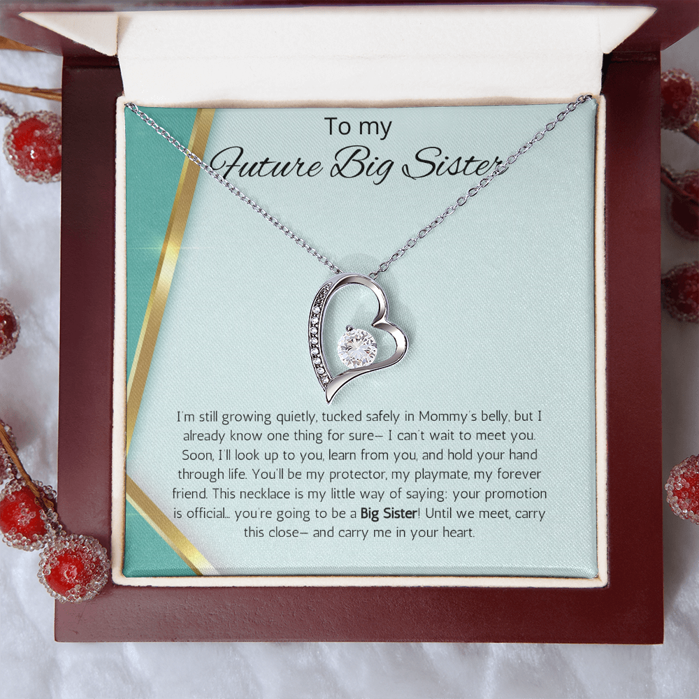Promoted to Big Sister Gift Necklace Pregnancy Reveal Announcement Forever Love Jewelry Present