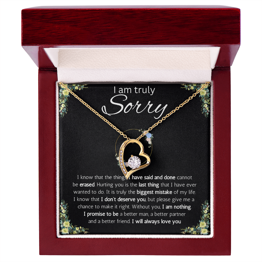 I'm sorry gift for her, apology gifts for her, i love you, i'm sorry gift necklace, sorry, forgiveness Solitaire Crystal necklace with message card