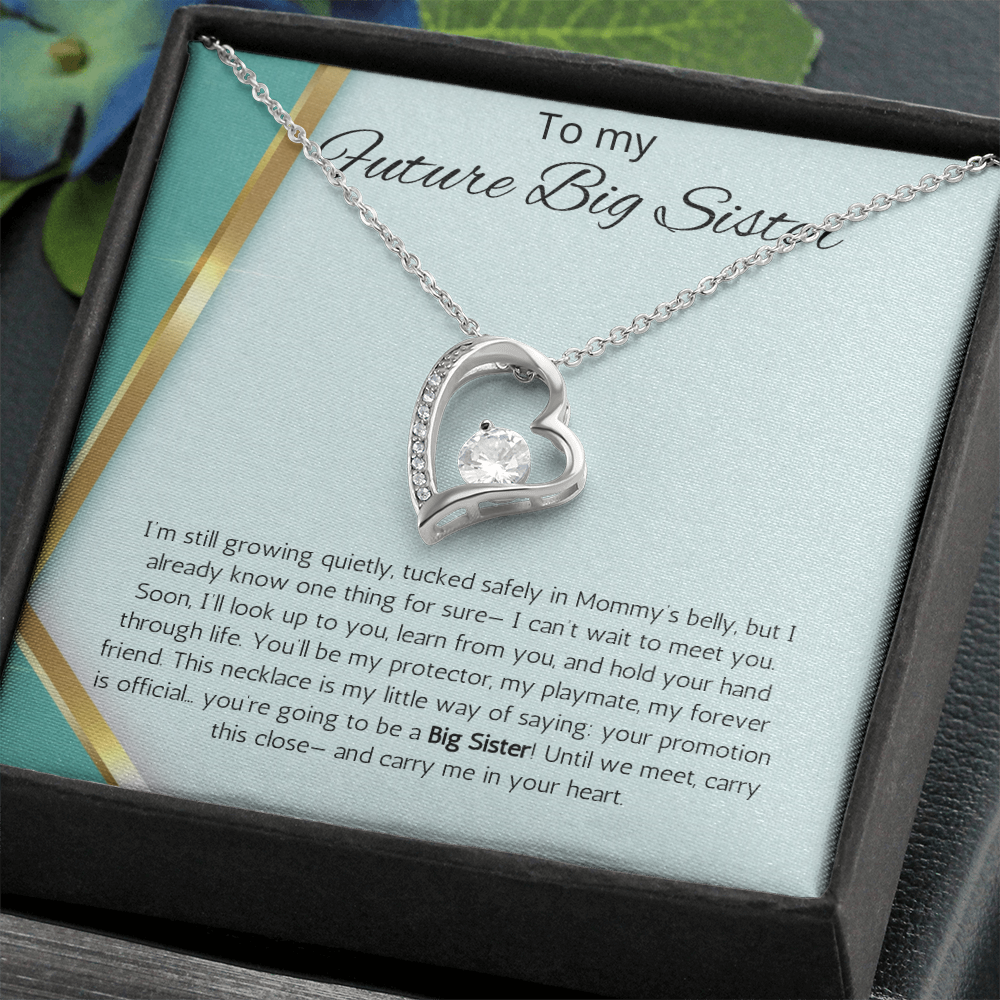 Promoted to Big Sister Gift Necklace Pregnancy Reveal Announcement Forever Love Jewelry Present