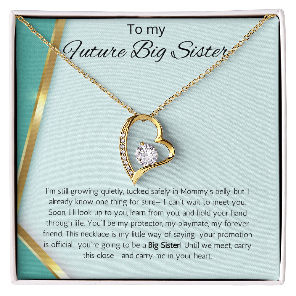 Promoted to Big Sister Gift Necklace Pregnancy Reveal Announcement Forever Love Jewelry Present
