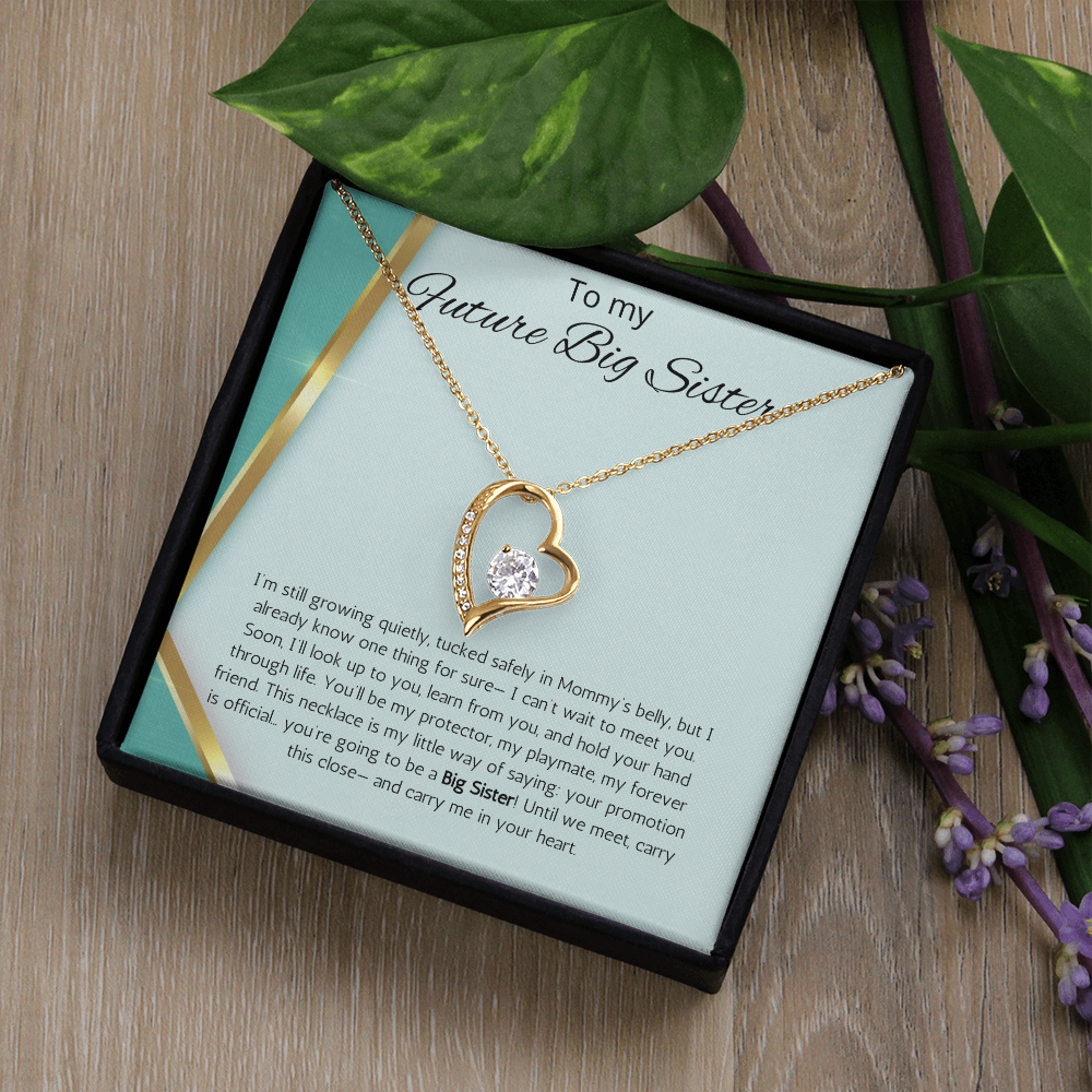 Promoted to Big Sister Gift Necklace Pregnancy Reveal Announcement Forever Love Jewelry Present