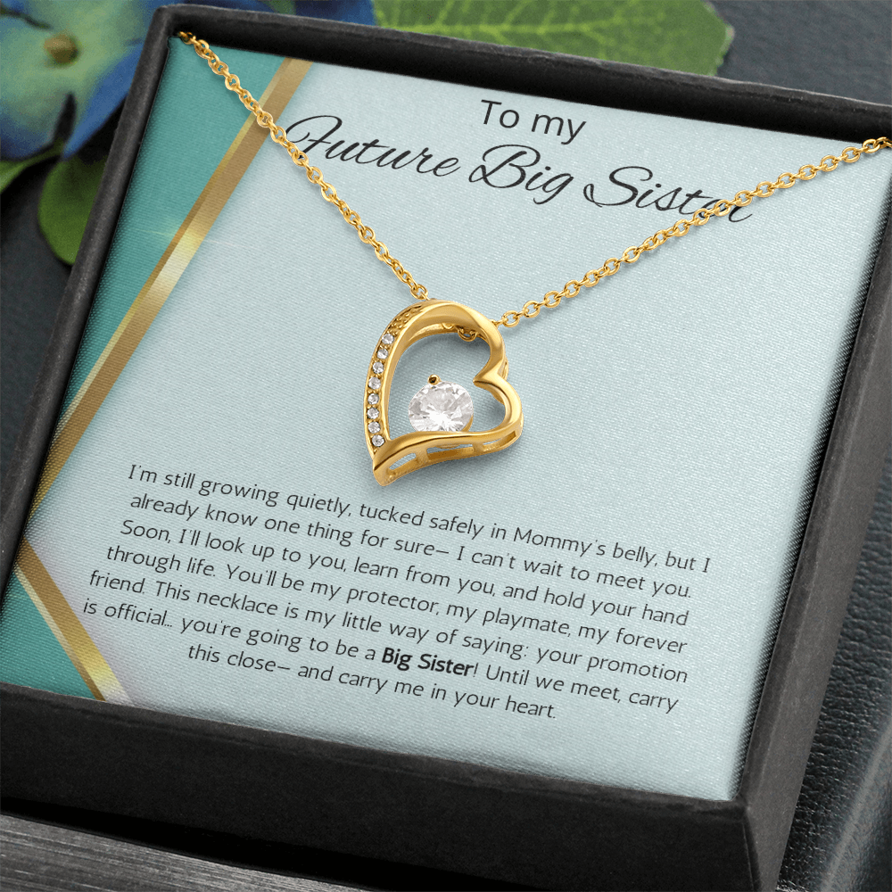 Promoted to Big Sister Gift Necklace Pregnancy Reveal Announcement Forever Love Jewelry Present