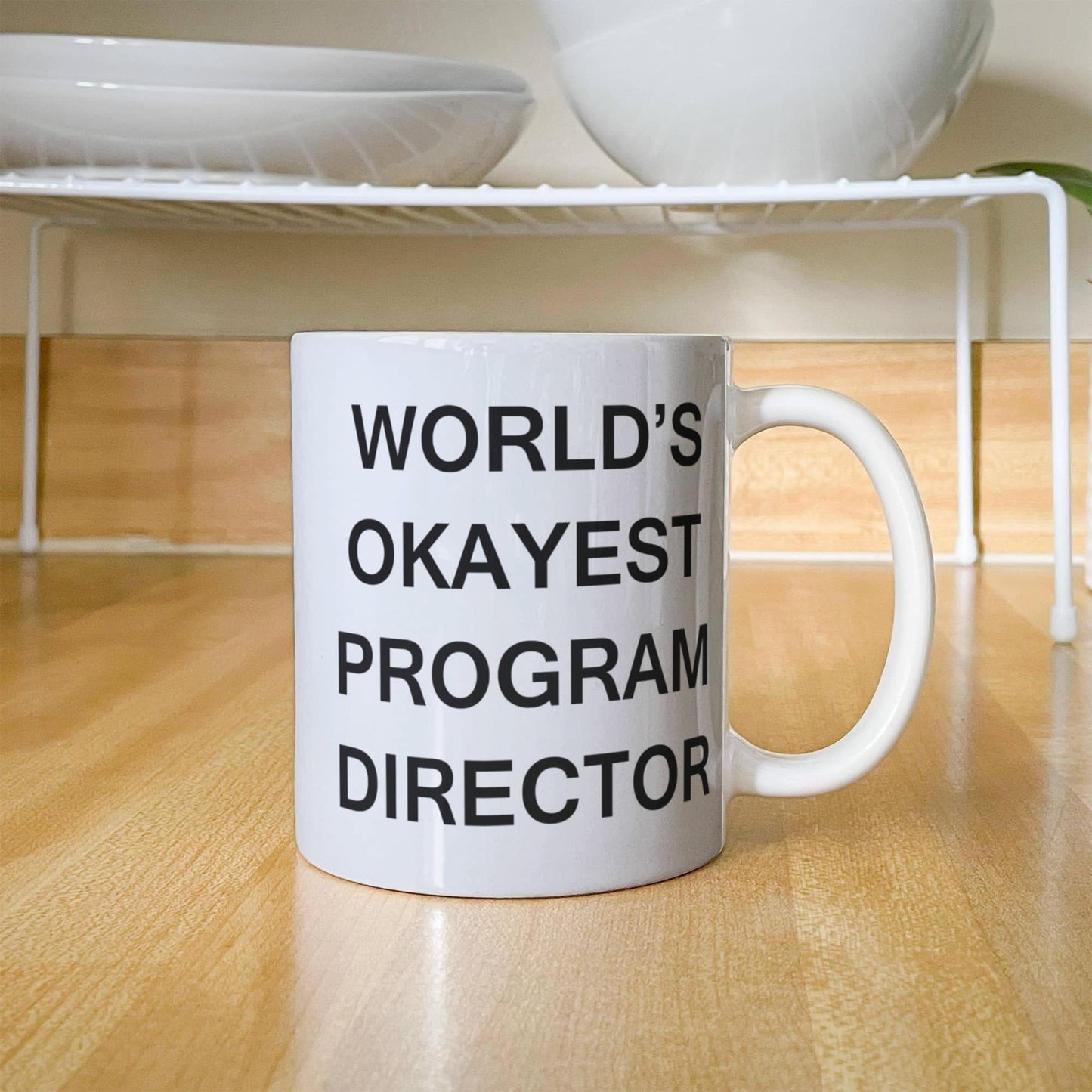 Program Director Gifts - World's Okayest Play Program - Birthday Gifts Ceramic Cup White, Funny Mugs Gift Ideas 11 Oz
