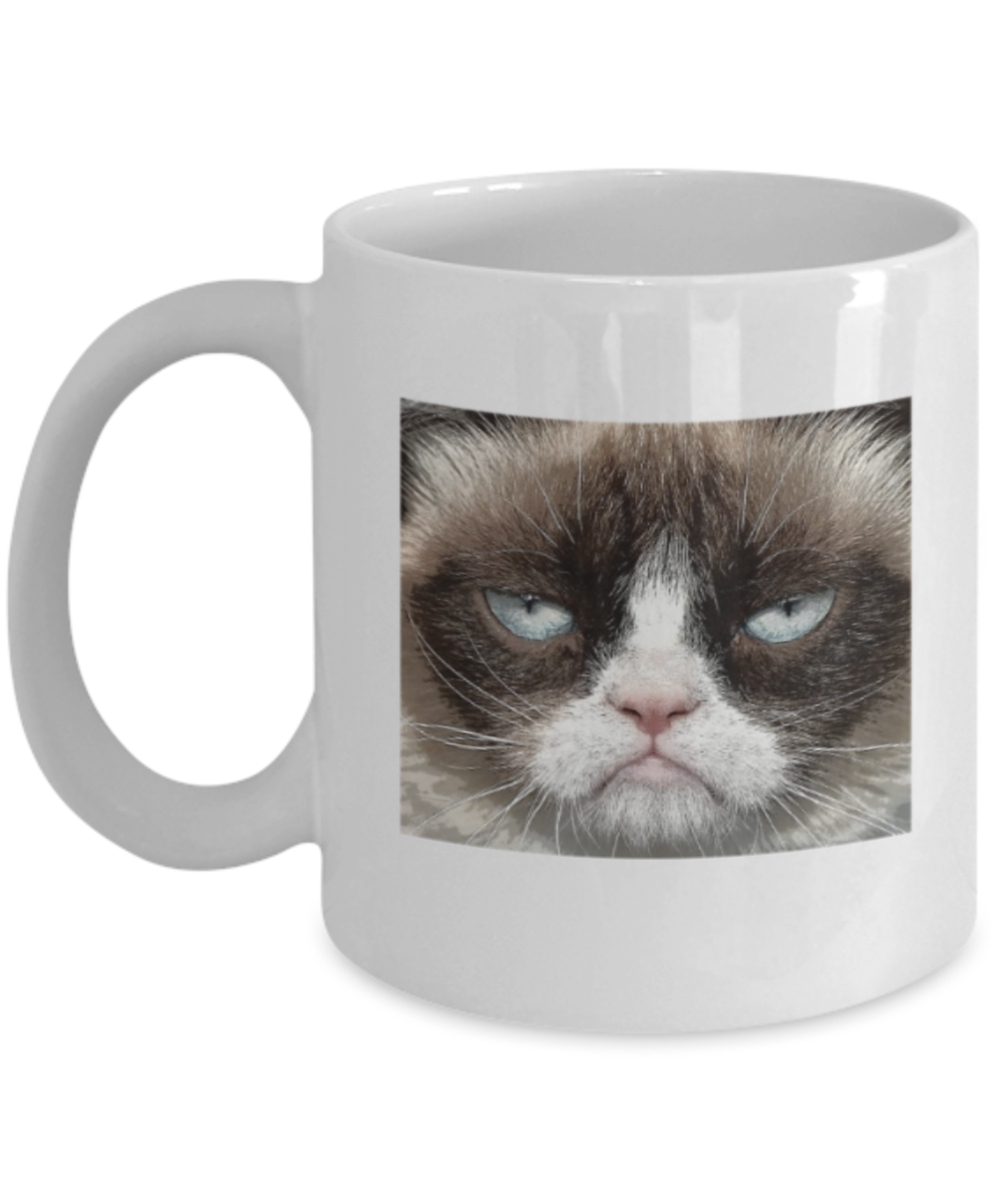 Gift gor cat lovers , Who you callin a pussy - White Coffee Mug Porcelain Tea Cup 11 oz - Great Gift